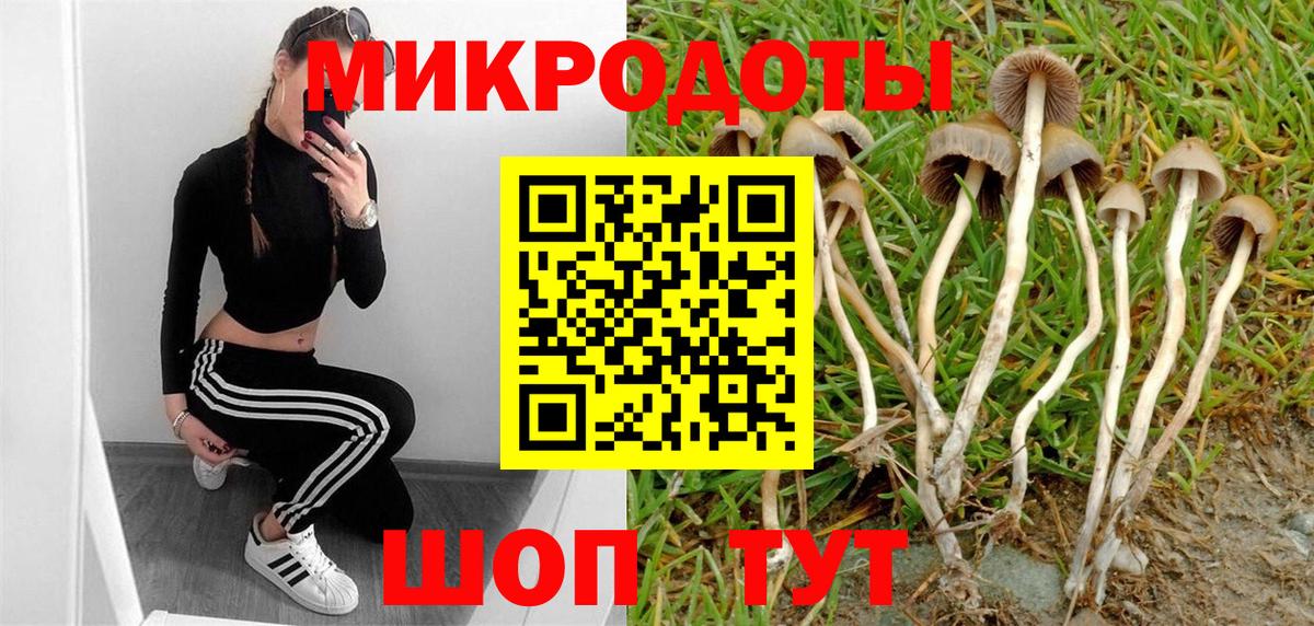 Псилоцибиновые грибы MAGIC MUSHROOMS Тихвин