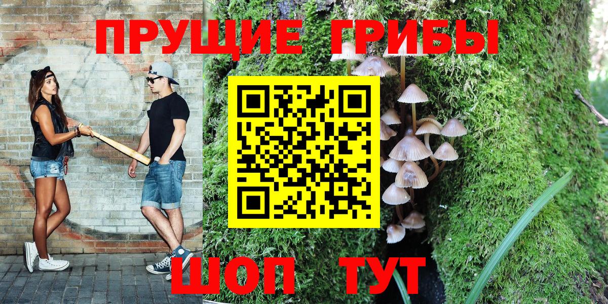 Тихвин  Галлюциногенные грибы GOLDEN TEACHER  купить наркотик  Галлюциногенные грибы MAGIC MUSHROOMS  Вход с VPN 